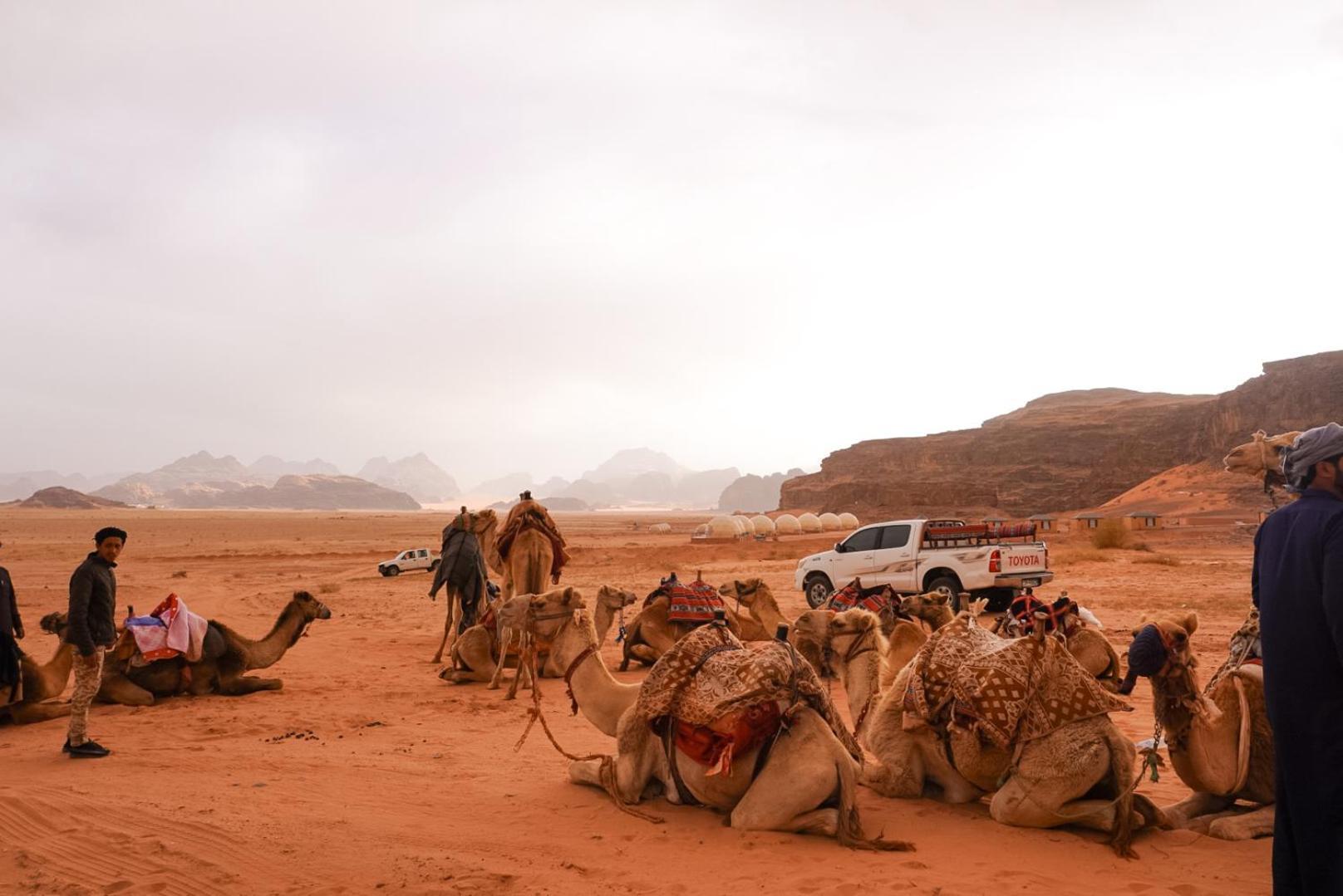 Shaheen Camp Wadi Rum Exterior photo