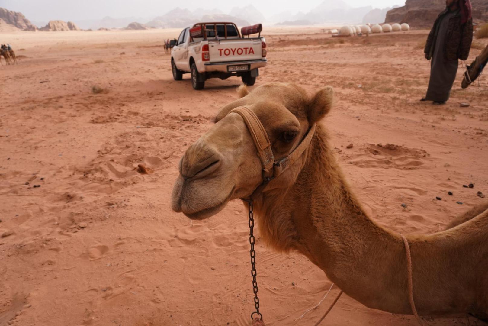 Shaheen Camp Wadi Rum Exterior photo